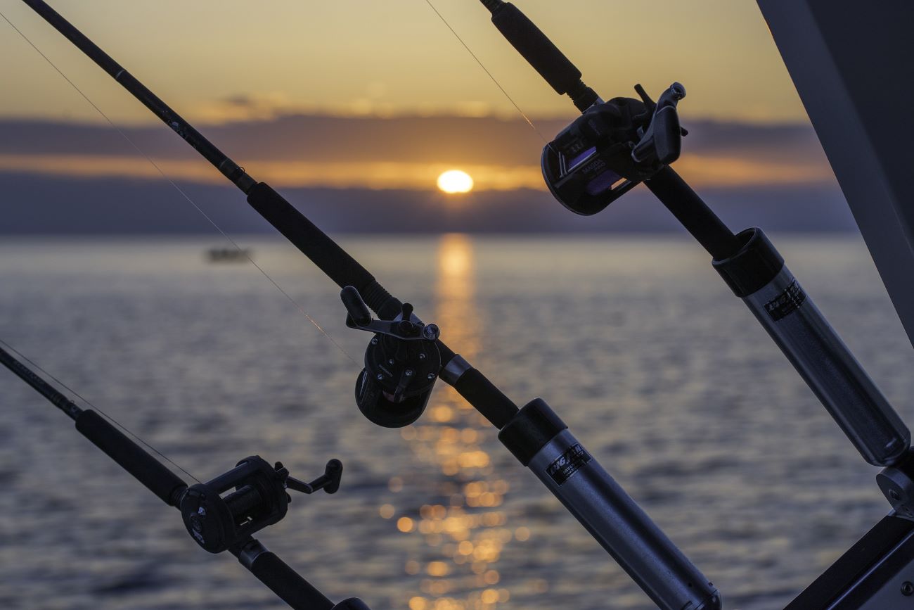 fishing charter boat sunset