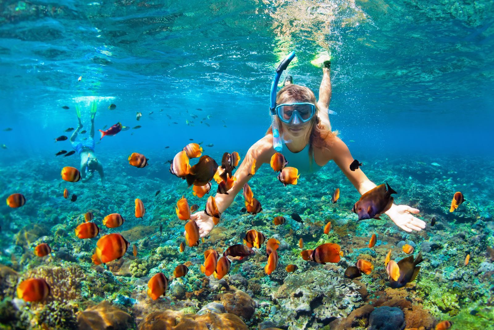 women snorkeling with fish